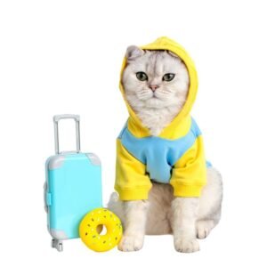 Pet Clothes